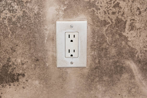 Best Forensic Mold Investigation  in Bath, PA