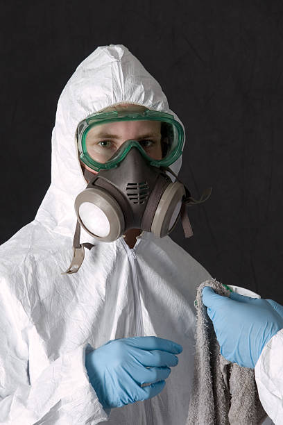 Asbestos and Lead Testing During Mold Inspection in Bath, PA